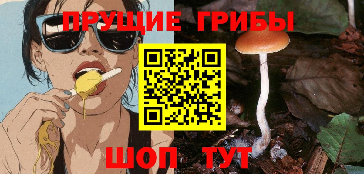 Галлюциногенные грибы Psilocybe  Псилоцибиновые грибы прущие грибы  Вход с VPN  Люберцы 
