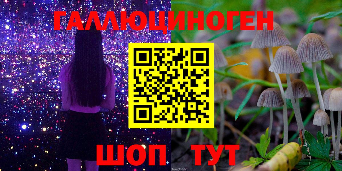 Галлюциногенные грибы Psilocybine cubensis Люберцы
